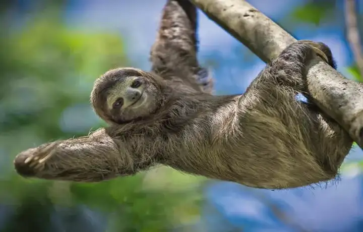 Manuel Antonio National Park