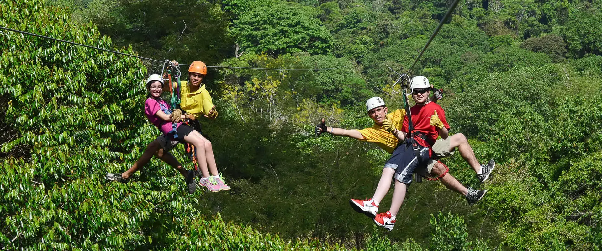 Canopy Santuario Tour de Tirolesa  | Costa Rica