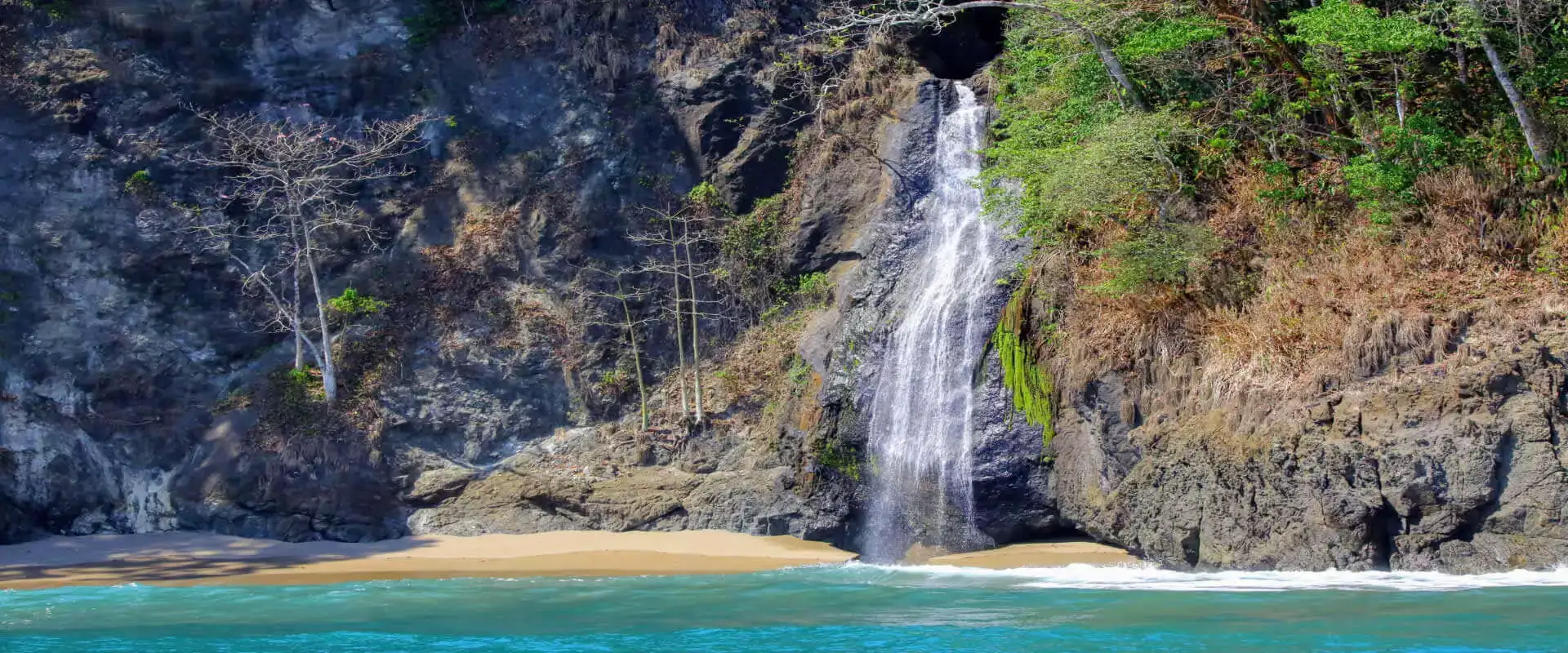 Tour Parque Nacional Corcovado (1 día) | Costa Rica