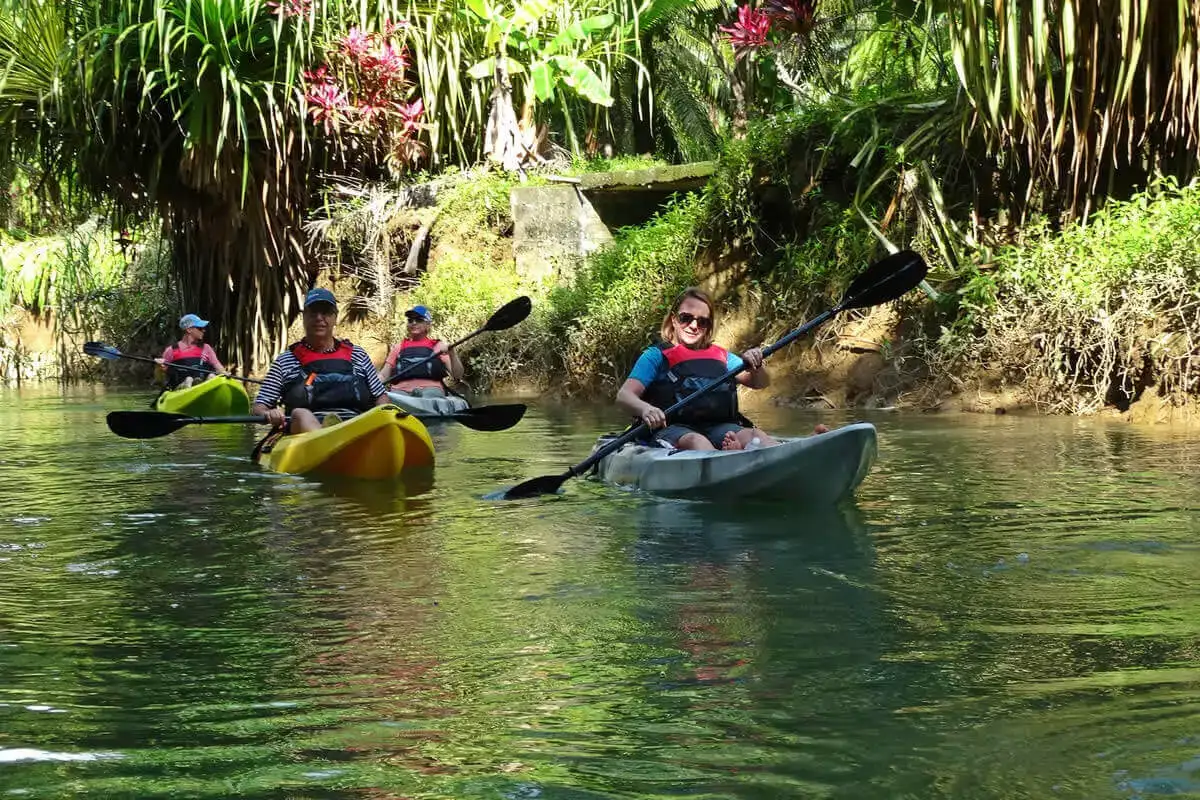 Damas Mangrove Kayak Tour