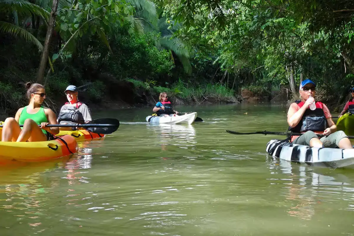 Damas Mangrove Kayak Tour