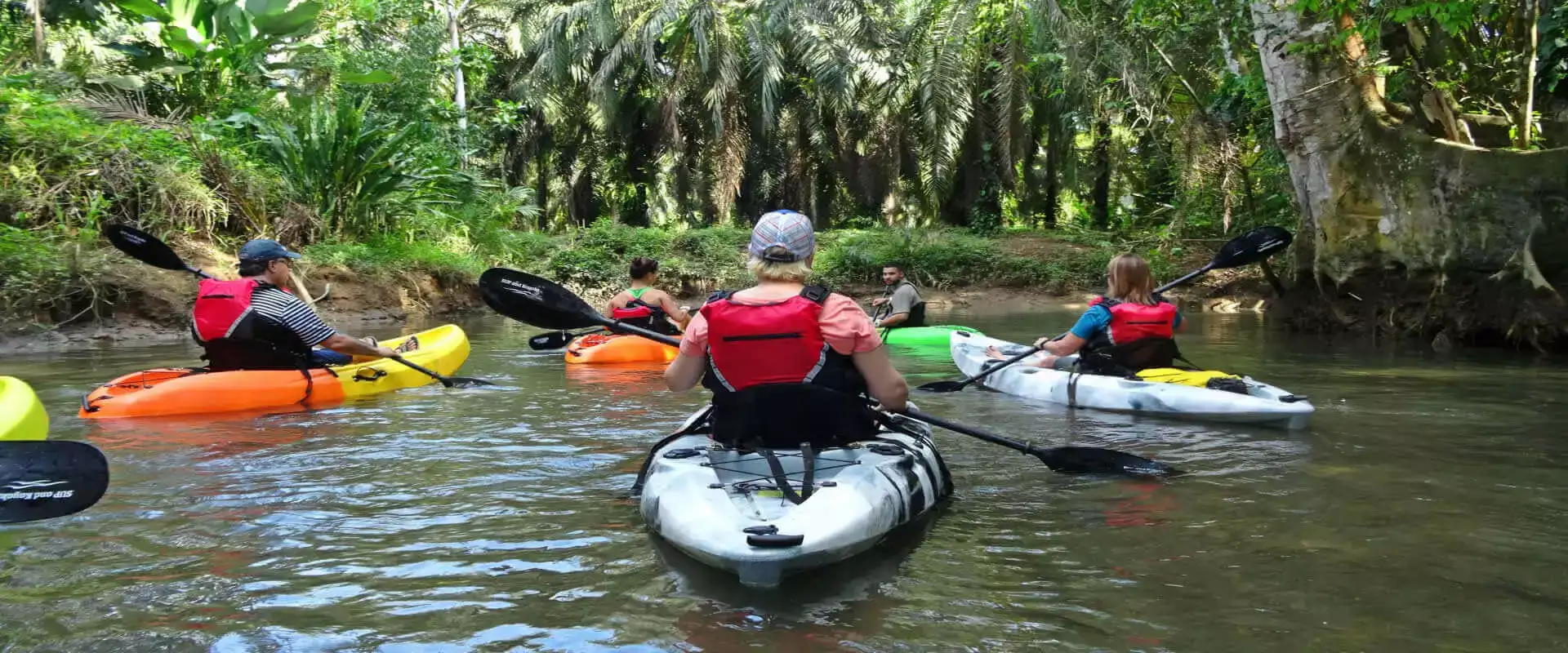 Damas Island Mangrove Kayak Tour | Quepos | Costa Rica