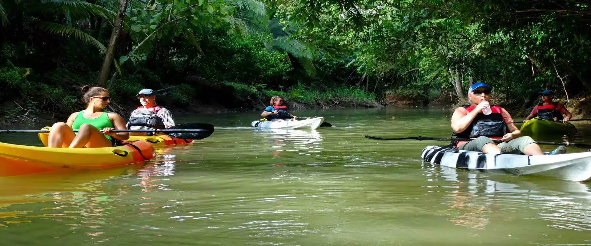 Damas Island Mangrove Kayak Tour | Quepos | Costa Rica