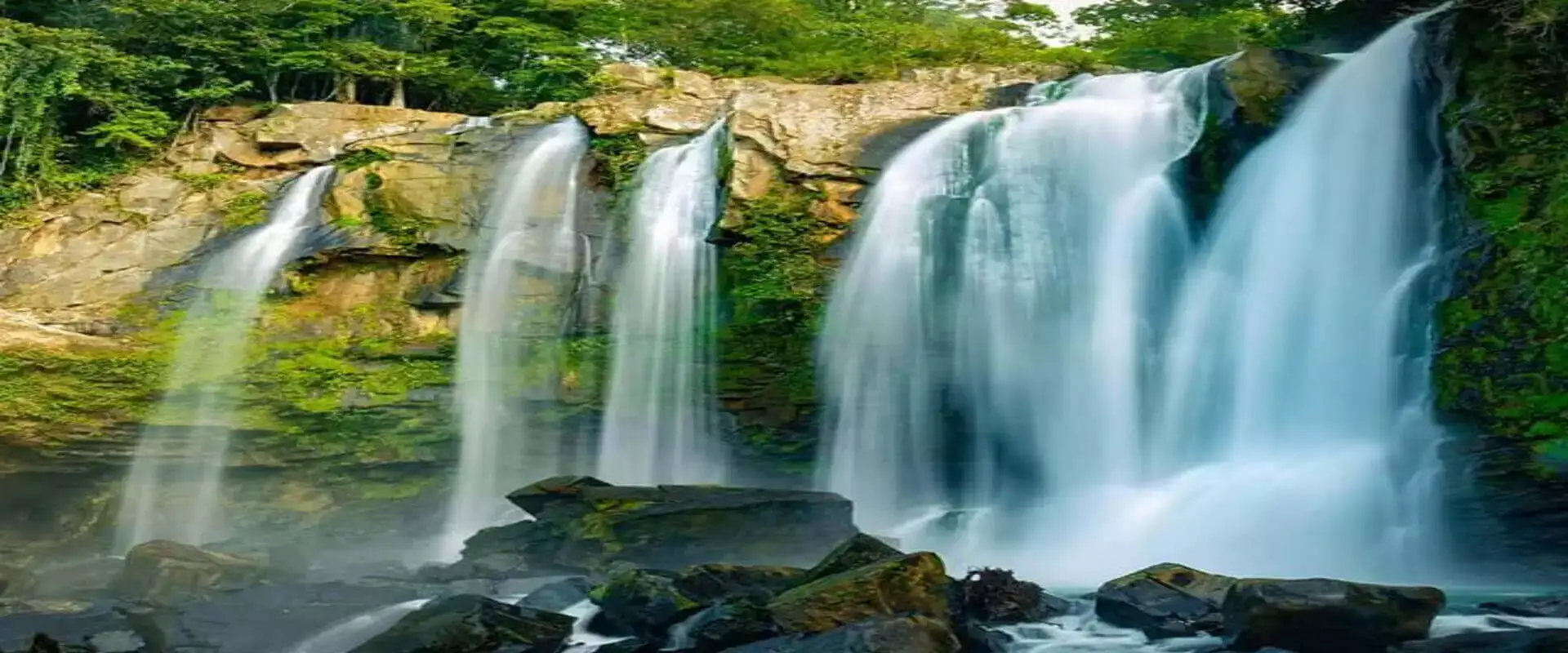 Tour de Caminata a las Cataratas Nauyaca