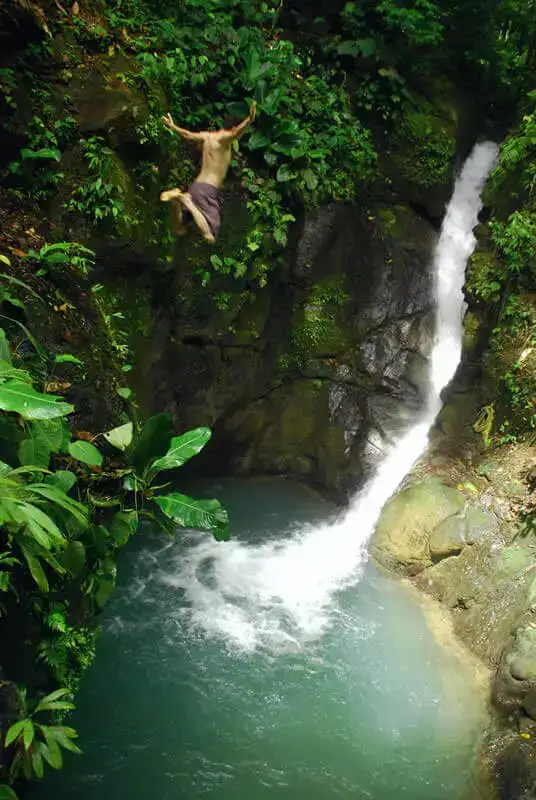 Virgin Rain Forest and Waterfalls Tour