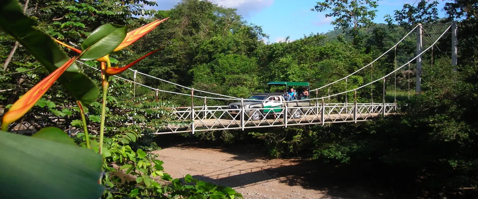 Virgen Rain Forest and Waterfalls Tour in Manuel Antonio | Costa Rica