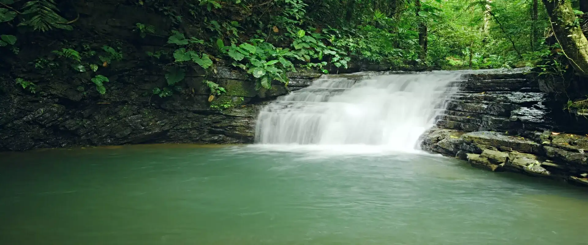 Virgen Rain Forest and Waterfalls Tour in Manuel Antonio | Costa Rica