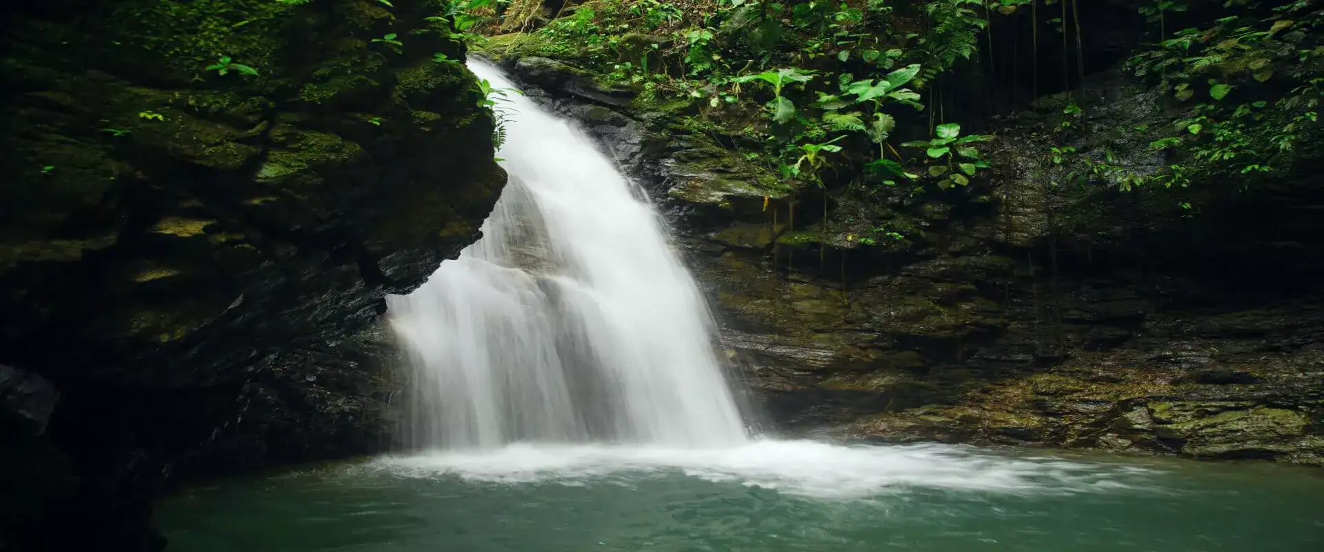 Virgen Rain Forest and Waterfalls Tour in Manuel Antonio | Costa Rica