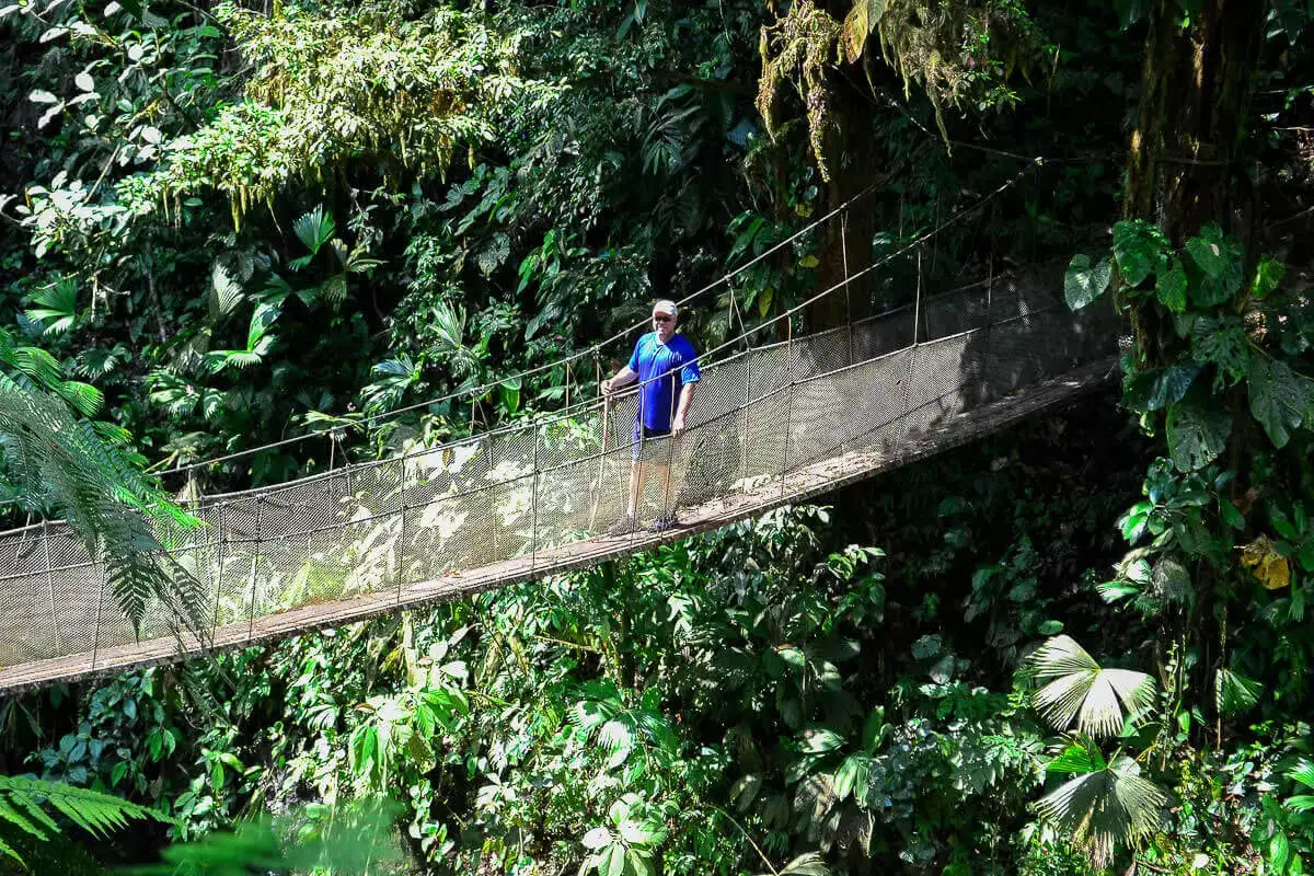 Rainmaker Park Tour | Hanging Bridges & Waterfalls