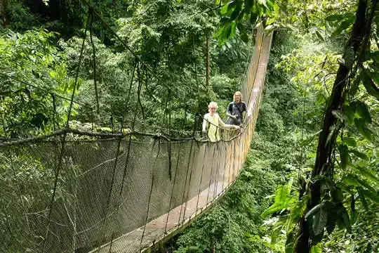 Rainmaker Park Tour | Puentes Colgantes & Cataratas